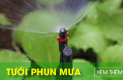 Hướng dẫn tự lắp tưới cây tự động tại nhà với 3 bước đơn giản 3