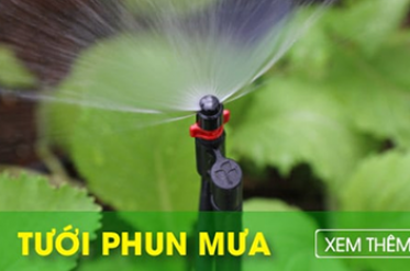 Hướng dẫn tự lắp tưới cây tự động tại nhà với 3 bước đơn giản 5